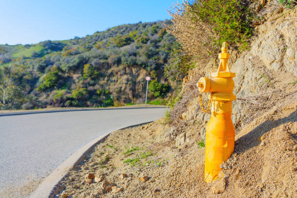 Yellow fire hydrant installed by a paved fire road in Runyon Canyon Park, California.