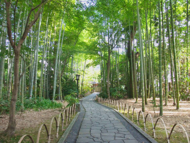 Izu Japan – October 23, 2010:This is the \