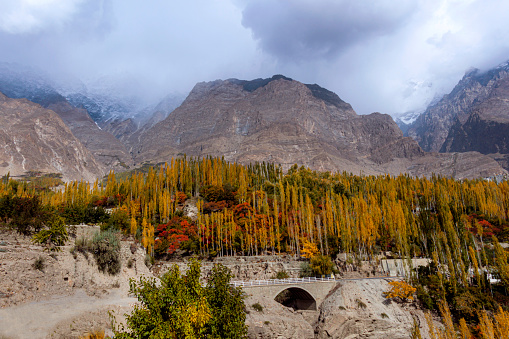 landscape of northern areas in fall season , beautiful mountains blue sky and white clouds with yellow and red trees landscape of hunza valley in autumn season