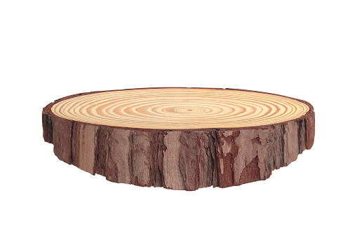 The modern wooden scene for show products, Stump, Cross section of the tree trunk, Wooden eco rustic pine tree wood circle disc platform podium isolated on white background. with clipping path