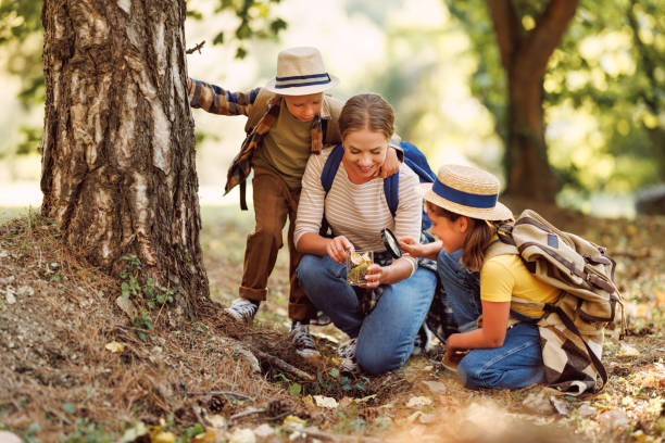 istock Happy mother and two   children in   with backpacks examining environment through magnifying glass in forest 1486996655