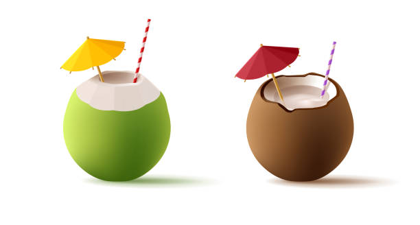 ilustrações de stock, clip art, desenhos animados e ícones de 3d green coconut and ripe coconut cocktails with straw and umbrella, realistic render 3d illustration - summer party drink umbrella concepts