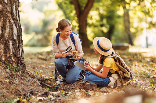 Child girl and smiling female teacher  with backpacks looking examining plants and insects in a jar through magnifying glass while exploring forest nature and environment on sunny day during outdoor ecology school lesson
