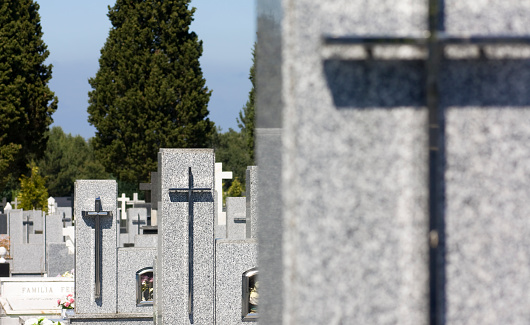 Crosses in a row  and tall cypress trees in a spanish cemetery. Blue sky.