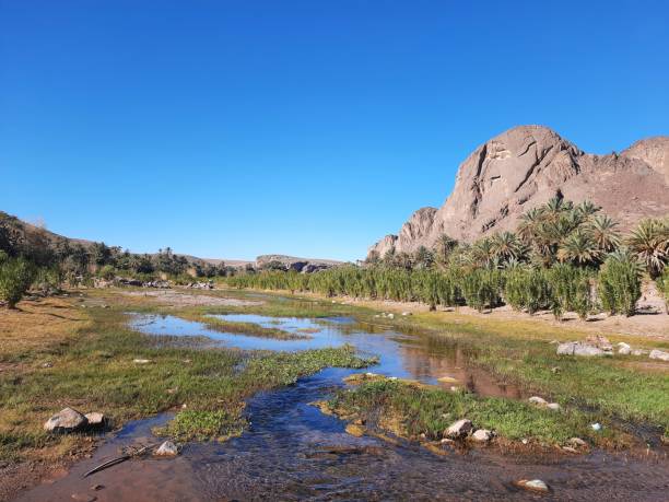 istock View of Natural beauty 1487009308