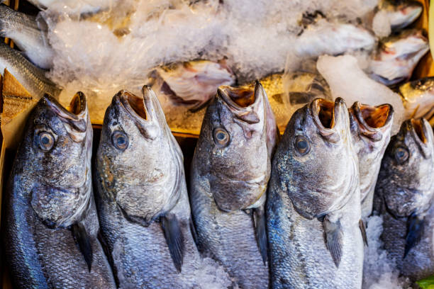 istock Fresh raw fish on the ice in the market 1487010311