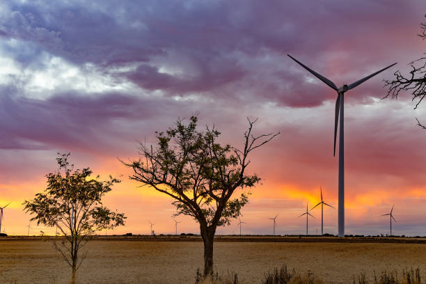istock Twilight backlight of trees in wind power park. Beautiful image 1487010319