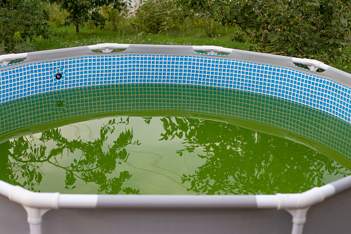 A backyard swimming pool has turned green with algea and dirt and is in need of chlorine treatment. Green water in dirty swimming pool, salt treatment water system is not working , defect and error technology concept.