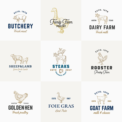 Premium Quality Retro Cattle and Poultry Vector Signs or symbol Templates Set. Hand Drawn Vintage Domestic Animals and Birds Sketches with Classy Typography, Pig, Cow, Chicken, etc. Isolated.