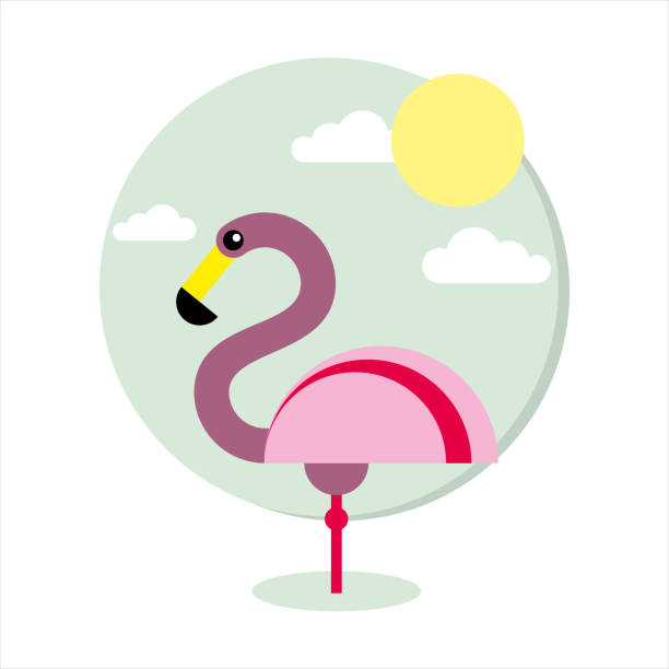 Flamingo-Bird vector art illustration