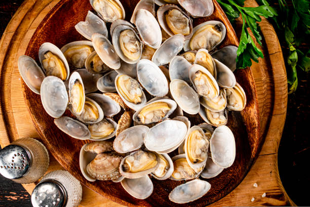 istock Vongole on a wooden plate with parsley. 1487024530