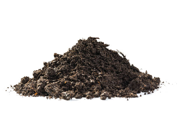 istock Pile of soil on a white background, top view 1487024920