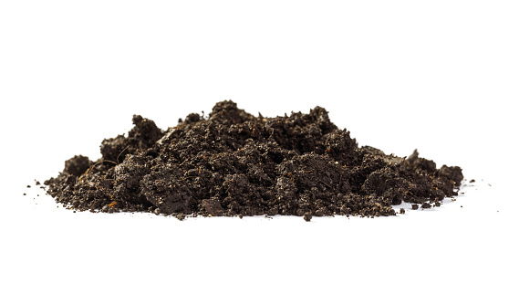 Pile of soil on a white background, top view