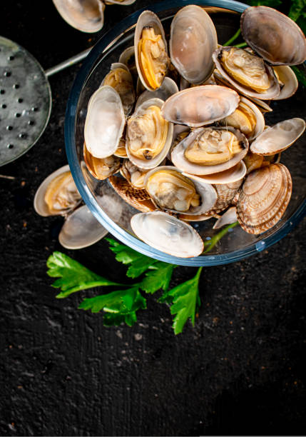 istock Fresh vongole in a glass bowl with parsley. 1487026073
