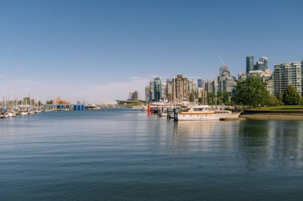 yates y veleros en el puerto de vancouver, canadá. - harborage fotografías e imágenes de stock