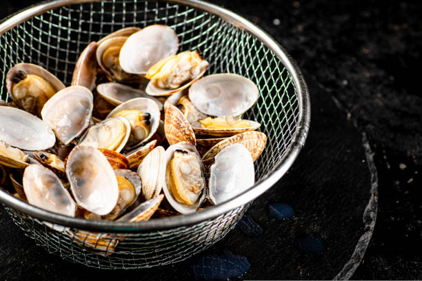 istock Vongole in a colander on a stone board. 1487026770