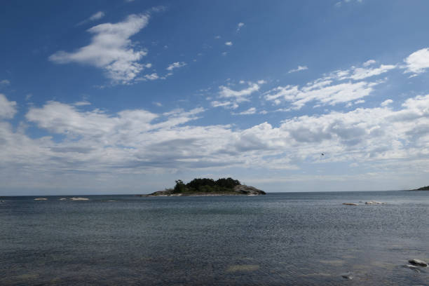 istock Scenic view of sea against sky during summer 1487028356