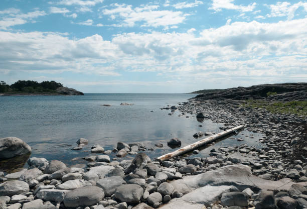 istock Scenic view of sea against sky during summer 1487030305