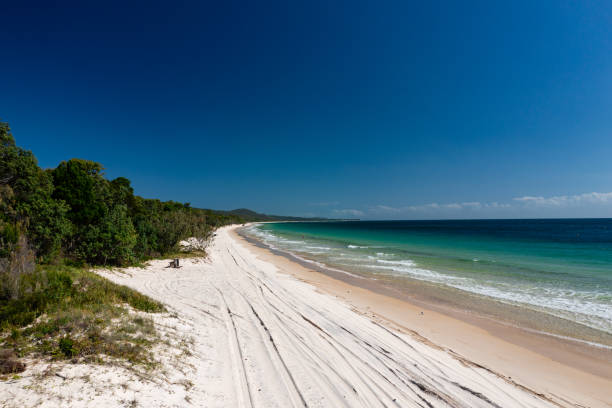 istock Pristine sunny beach on Moreton Island 1487037902
