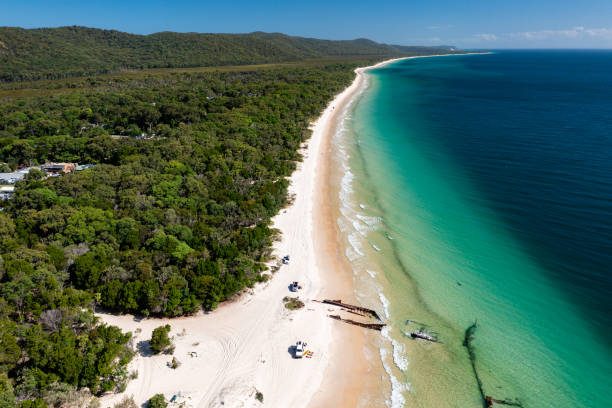 istock Shipwrecks and offroad vehicles on pristine beach at Moreton Island 1487038111