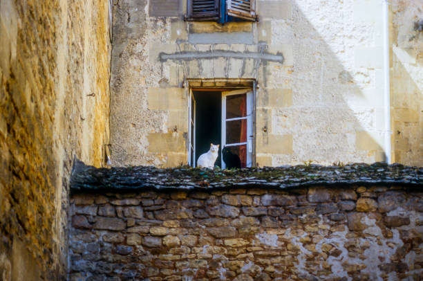 Small shuttered window