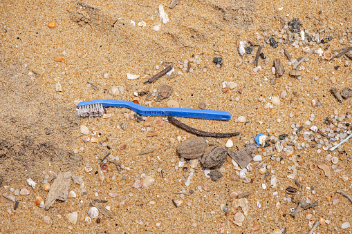 Negombo, Western Province, Sri Lanka - March 9th 2023:  Toothbrushes of plastic is a common sight on the beach