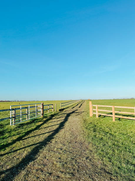istock A road beside the grassland with fences 1487039228