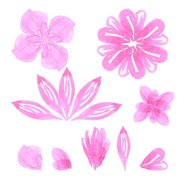 istock Abstract flowers. Hand drawn watercolor isolated on white background. Can be used for cards, patterns, label. 1487040895