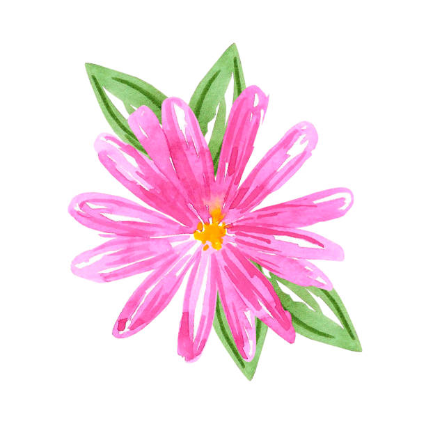 istock Pink abstract daisy with green leaves. Hand drawn watercolor isolated on white background. Can be used for cards, patterns, label. 1487041193