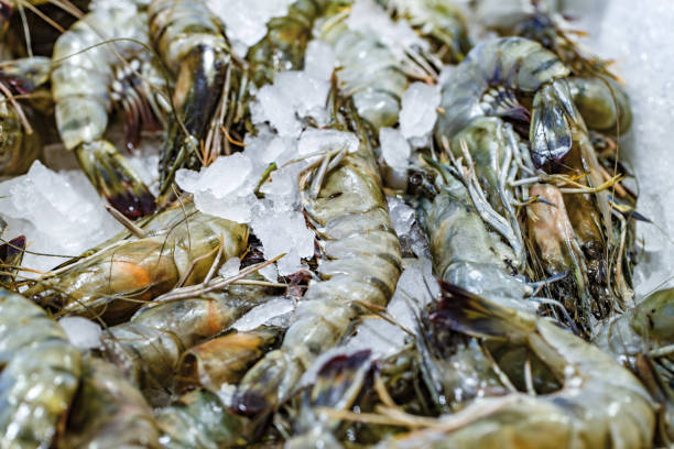 istock Raw shrimp or prawns on ice at fish market, selective focus 1487041330