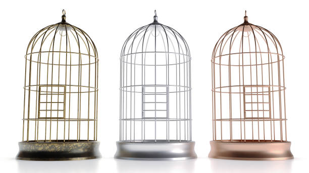 istock Silver gold and cooper bird cage isolated on white background, 1487044453