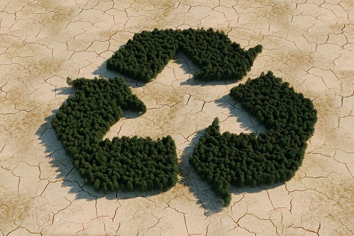 Forest in shape of recycle symbol on dry zone, top view, (3d render)