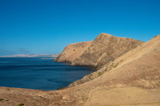 istock The rugged coastline north of Second Valley, Fleurieu Peninsula, South Australia 1487048470