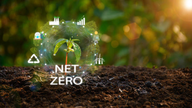 istock Environment concept. Trees with environmental icons. Global warming. Sustainable development. Solar and Green Business Renewable Energy Future Sustainability Net Zero. 1487048817