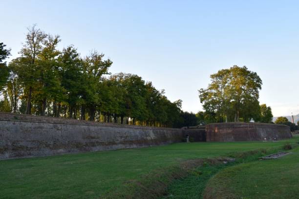 istock two benches in front of a stone fenced wall with trees 1487054630