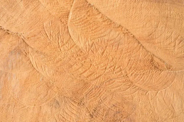 Photo of The texture of Solid wood.