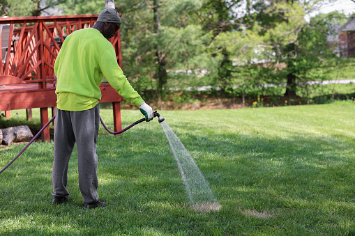 A portrait of a black man spraying a lawn with a water hose