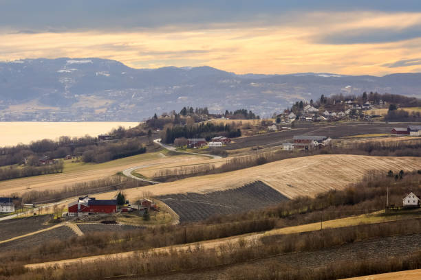 istock Agricultural area Byneset, Norway 1487059431