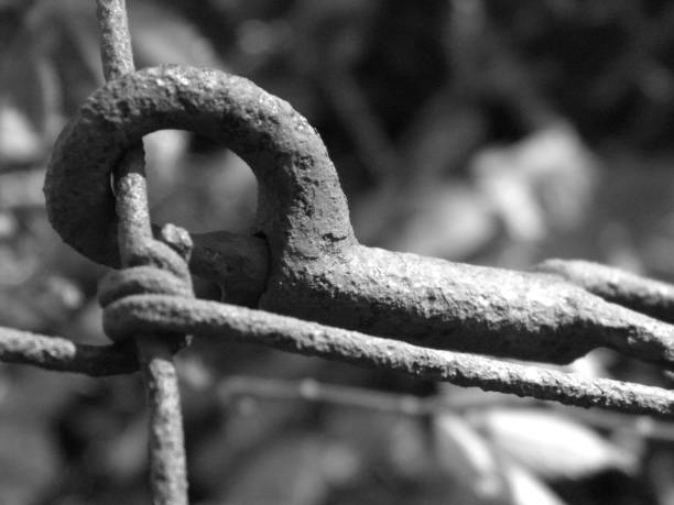 istock an iron fence with rusty metal bars and a loop on it 1487061108