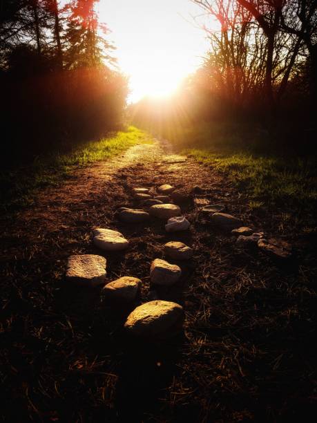 A scenic pathway made of stone meanders through a lush forest, leading the way to a stunning sunset