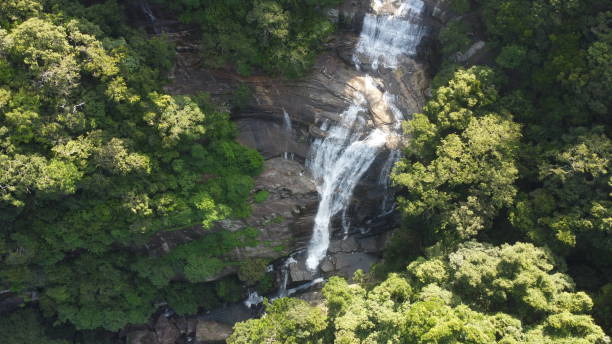 istock Bird's Eye Views of Waterfall Sri Lanka 1487064618