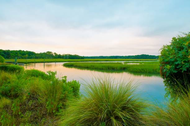 istock Marsh Sunrise at High Tide- Hilton Head, South Carolina 1487064883