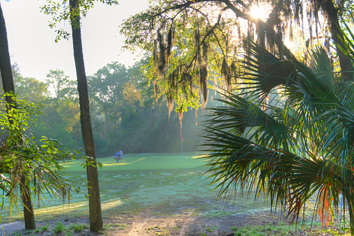 Lining up a putt in the early moring fog- Hilton Head, South Carolina