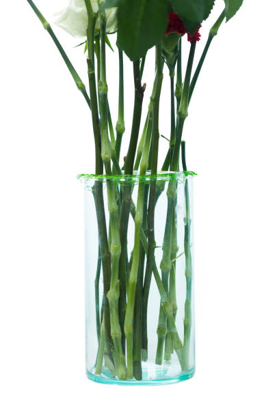 Lots of twigs arrange to decorate the bouquet