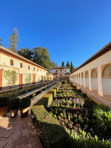 istock Stunning view of the lush gardens 1487065649