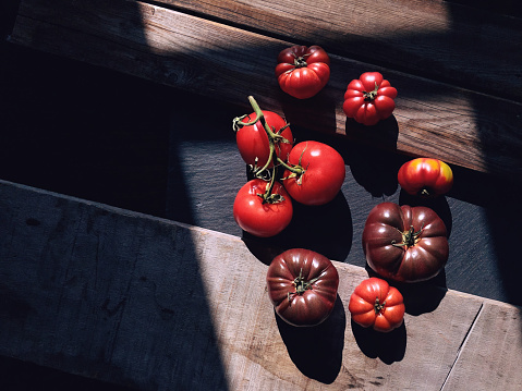 Directly above shot of variety of red tomatoes on wooden table