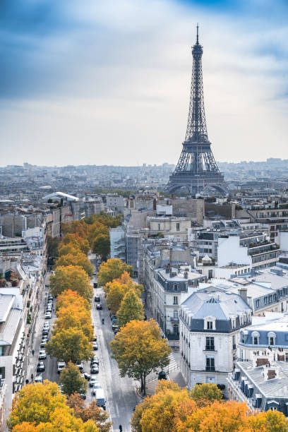 istock Panorama view from Triumphal Arch, Paris, France 1487072596