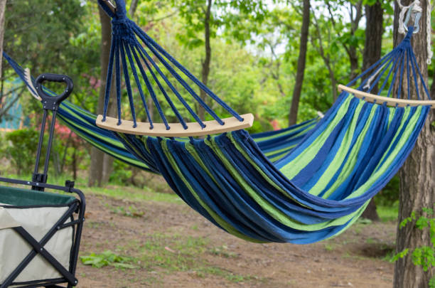 istock A hammock in a summer forest,resort vacation concept 1487073474