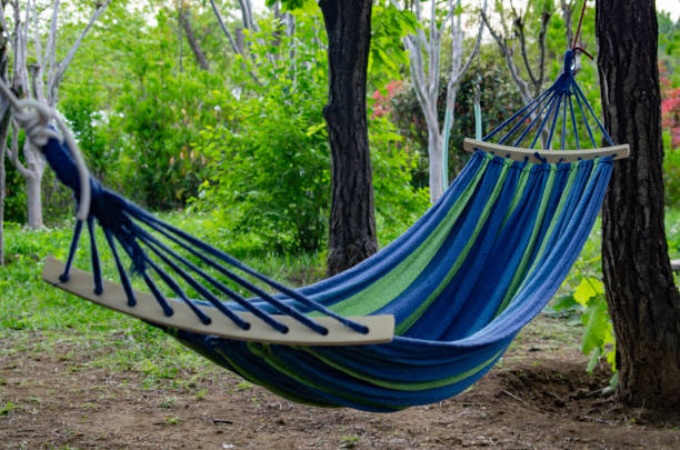 istock A hammock in a summer forest,resort vacation concept 1487073619