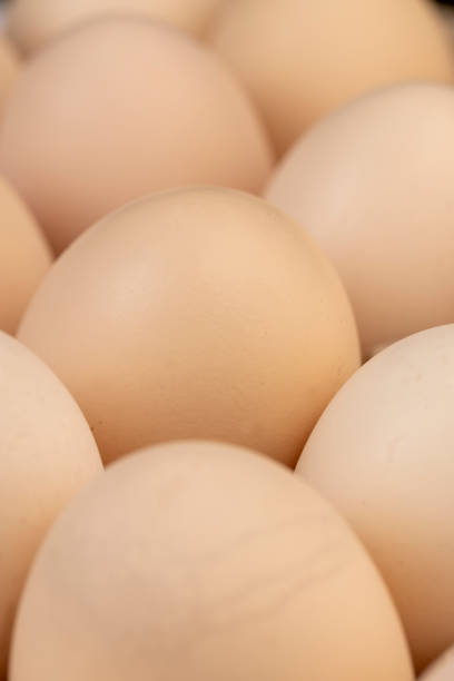 istock Tray with a large number of white chicken eggs 1487075238